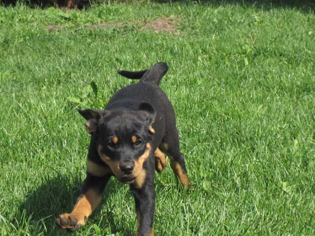 20070725_2197